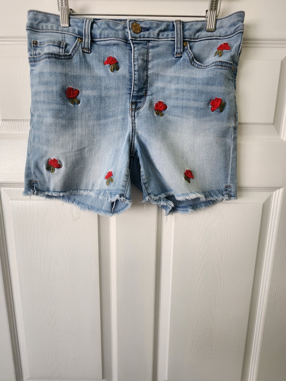 7 For All Man Kind Light Wash Denim Shorts with Red Rose Embroidery - 10